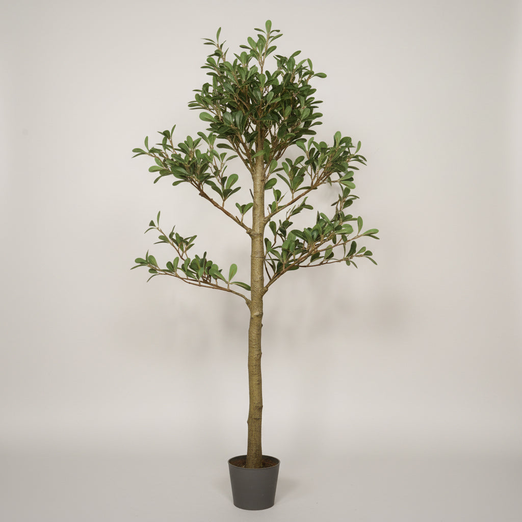 7FT Artificial Black Olive Tree with Black Plastic Pot, Realistic Tall Fake Plant for Indoor Home Living Room Corner Decoration, 1pc/set.